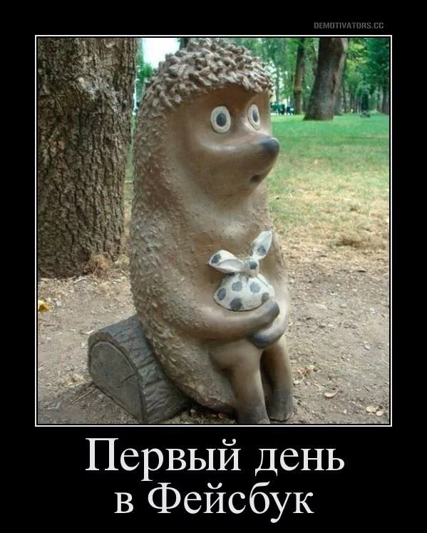 8jbfhd.webp
