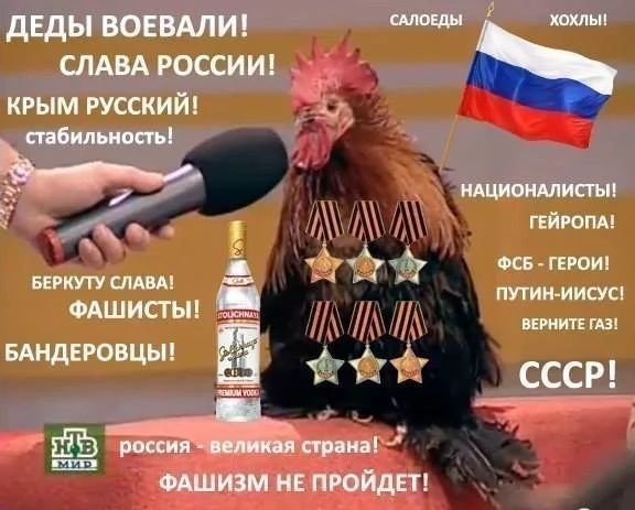 8jggeg.jpg