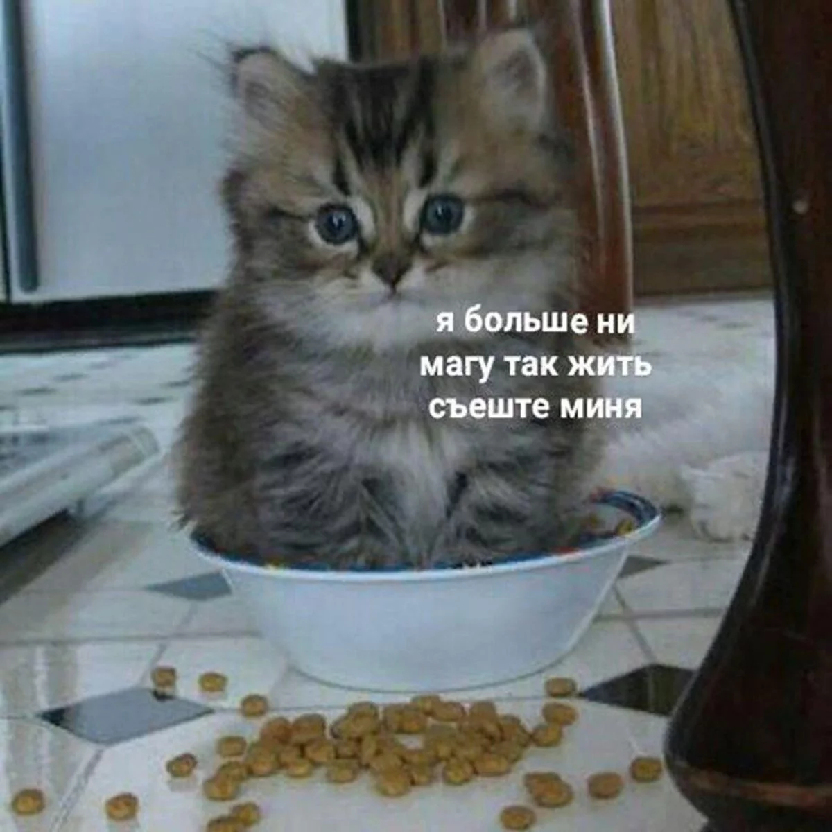 8jhbec.webp