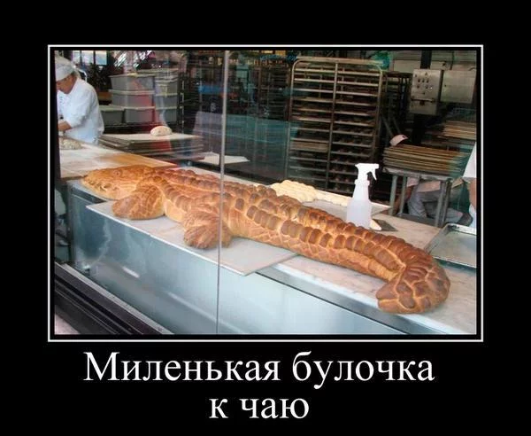 8PYnIL7-8cM.webp