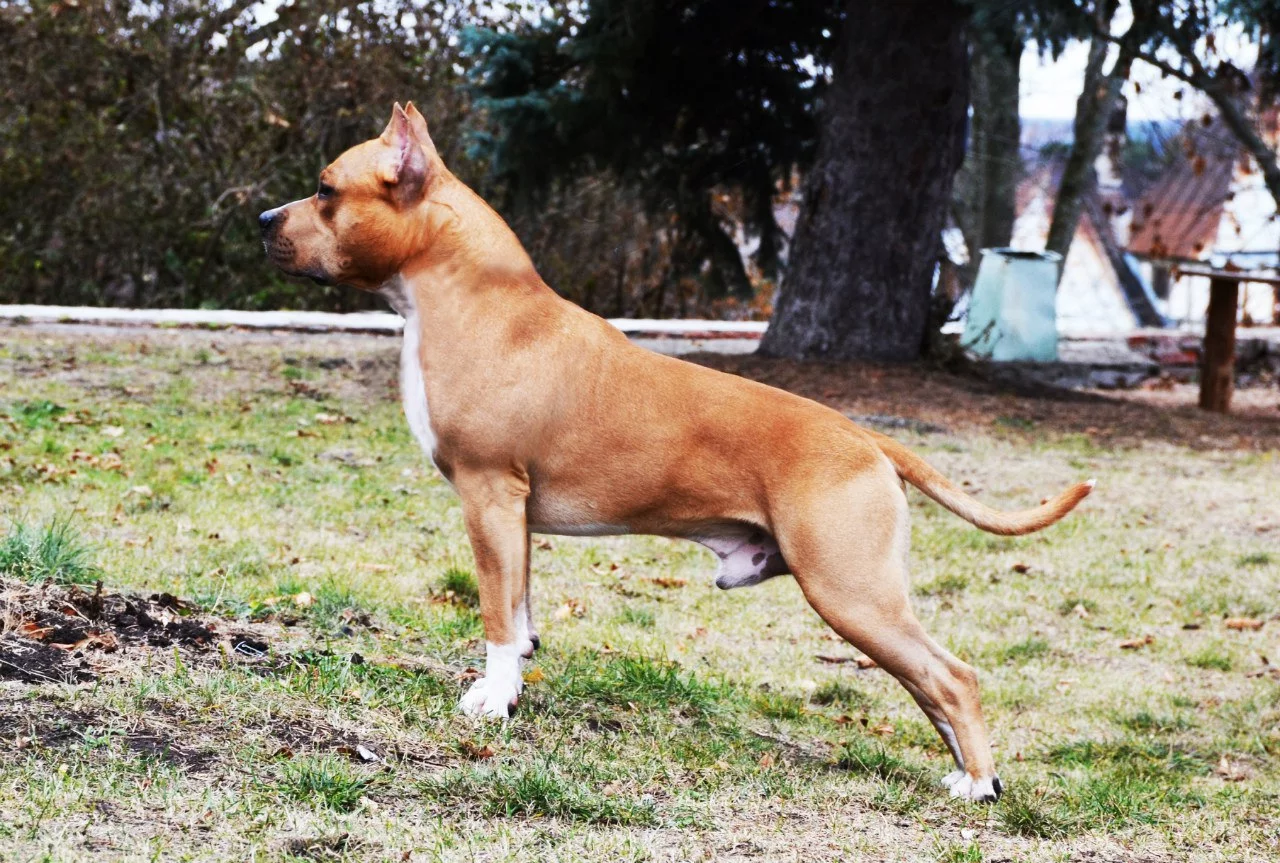 8r_re9Dv_iM.webp