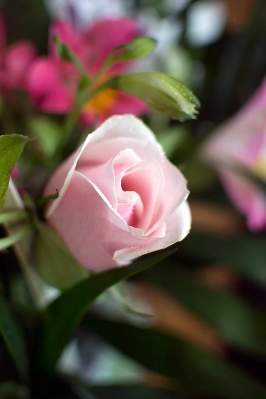8sMcunKCrEc.webp