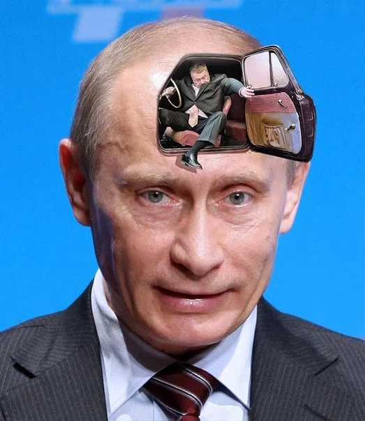 8vnFPk8M0bc.webp