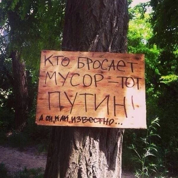 8XY0oMn2ZXM.webp