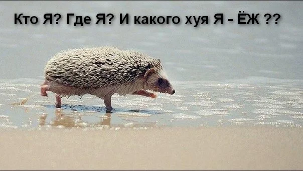 9001972.webp