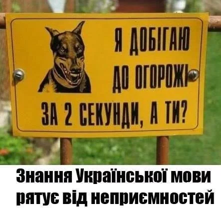 90108efd3b2c2520d197c93.webp