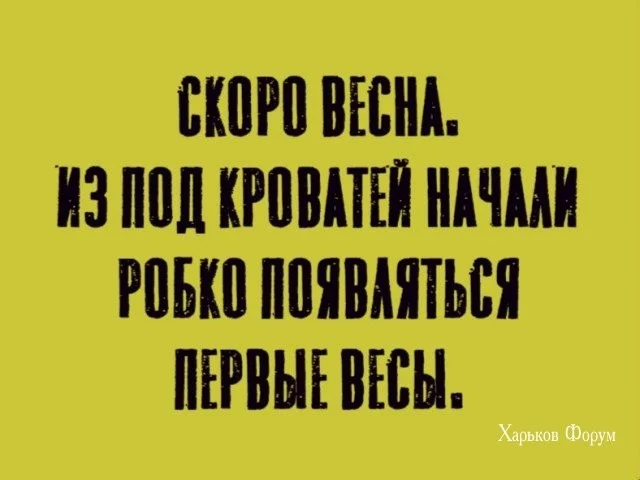9013542ad30830b786.webp