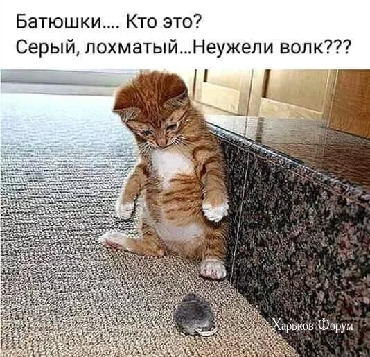901da50204b8bc36ad.webp
