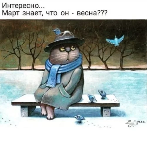 90295b7ddcd01f669ecc1.webp