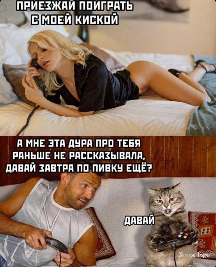9031fe0d6d346685.webp