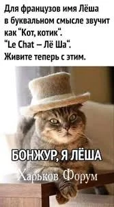 903f0d7f45abb0820.webp