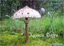 904d159c83b0c5f3.webp