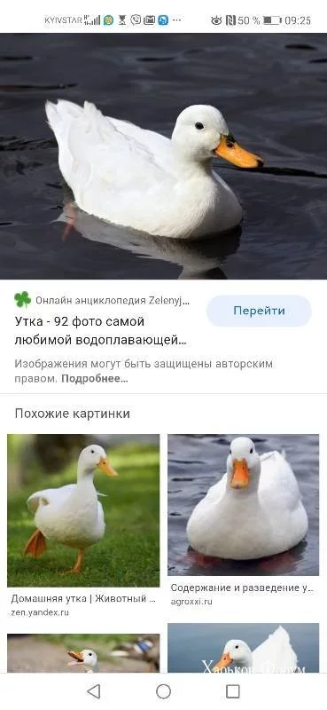 905371eb739e2258b74f.webp