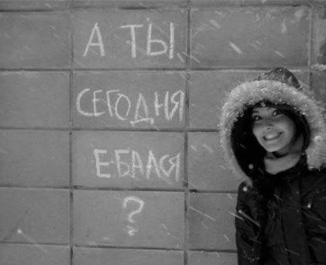 9059115.jpg