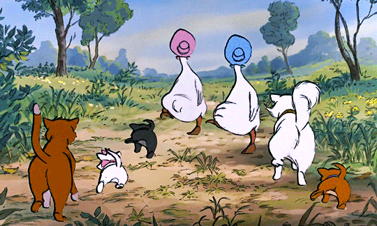 90657e41f4dd54e40cb2c9bb000989462db890b2.gif