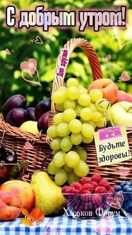 906b8daaf73a6b90.webp