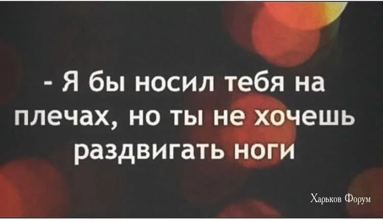 9074e3d3d6fb801a92.webp