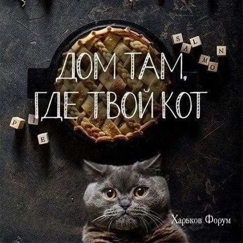 9076fd9f52ea7a62a.webp