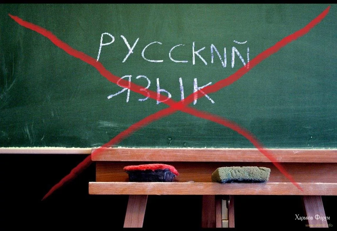 9086f2cc5dc586a83b622.webp