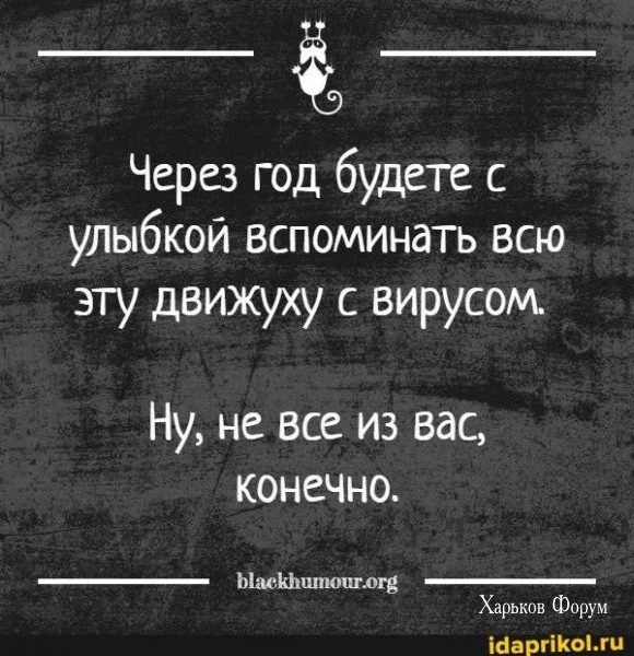 90b5da548bcf80a2b14fab6.webp