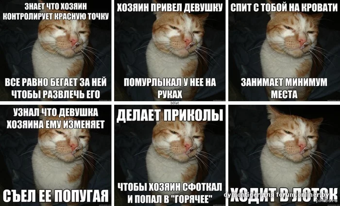 90cb0dc92d195b81779930c5a54a40d9.webp