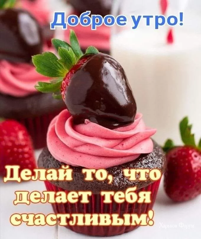 90d7f63575e0106c949e.webp