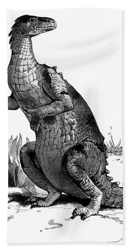 90s-engraving-of-dinosaur-iguanodon-vintage-images.webp