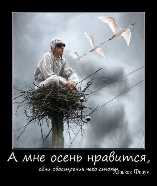 9102e2a9dd01f740b64c071.jpg