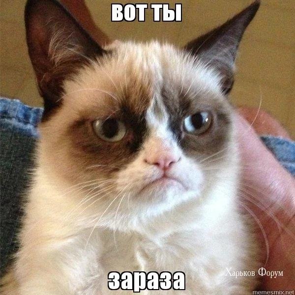 910e754170fc58ecaceebc6f.webp