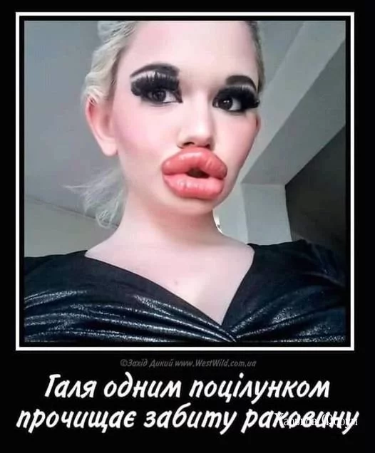 910ed598b477520beeb2.webp
