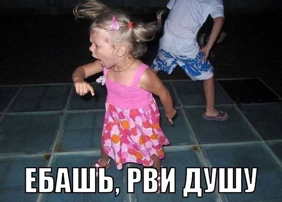 9119713.webp