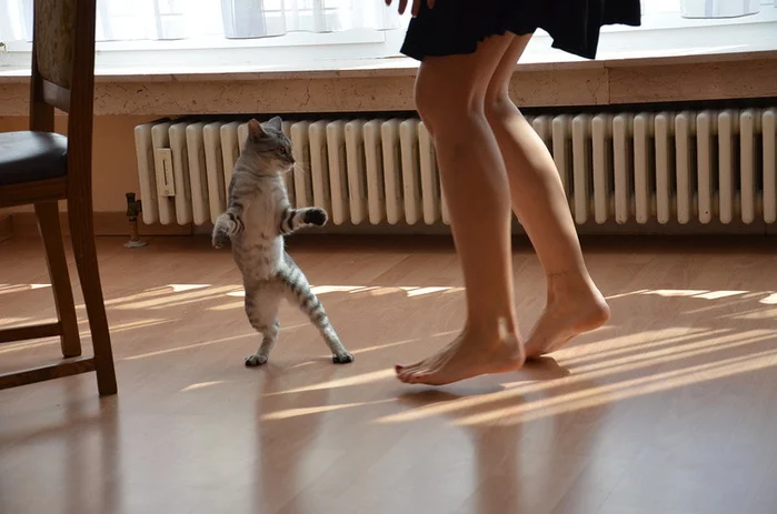 91215998_0_a10a7_2918346d_XL.webp