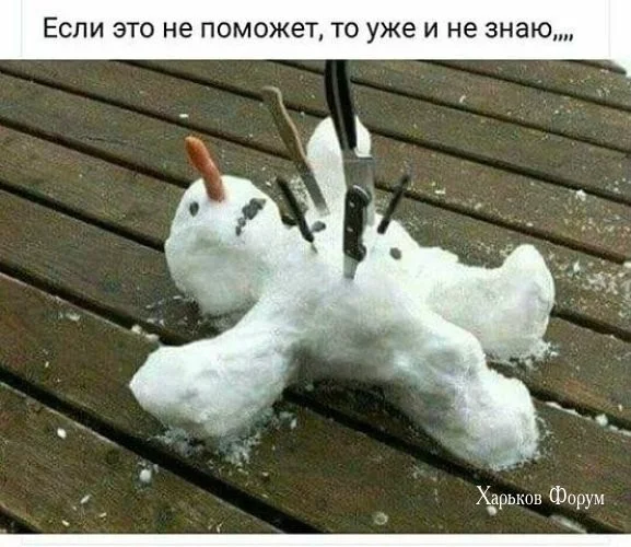 9132880bd85c7ed9.webp