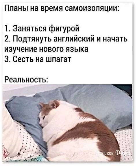 9133fe0bb6df7ba8.webp