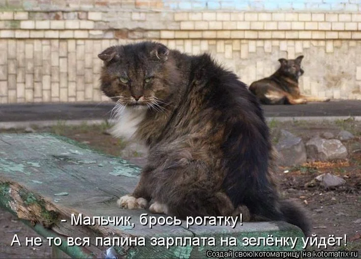 9138d88c0f1ef721d3ac2a5e73f0f8c6.webp