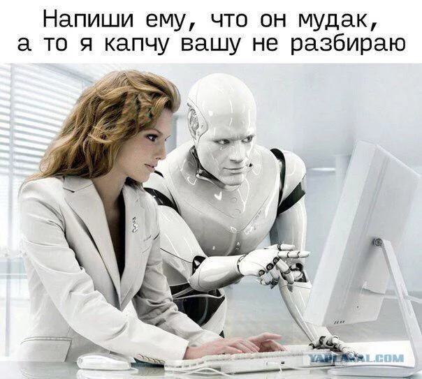 9147040.webp