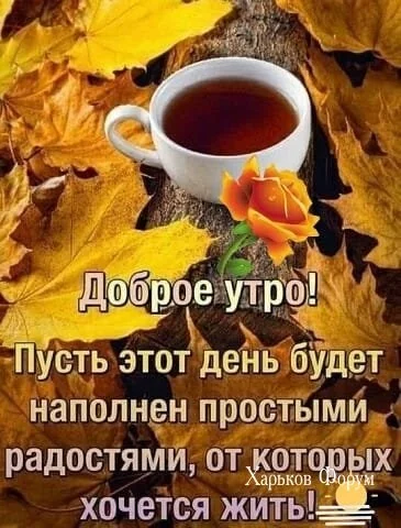 914a28e3870db9e36.webp