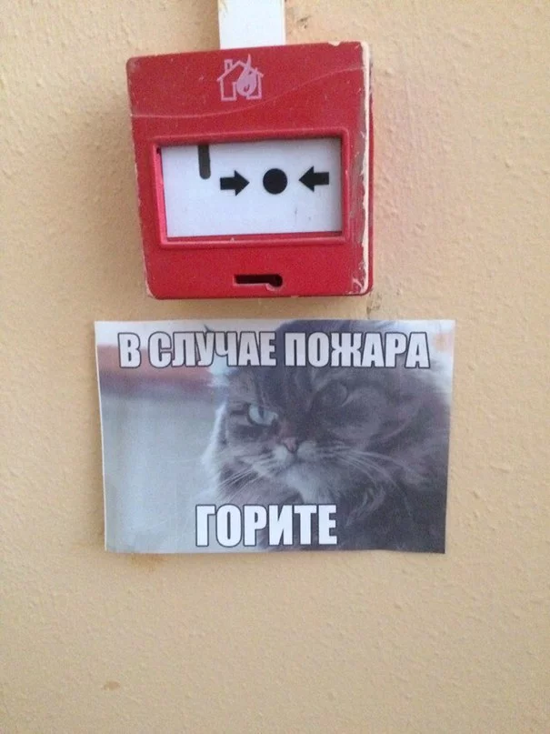 9158740.webp