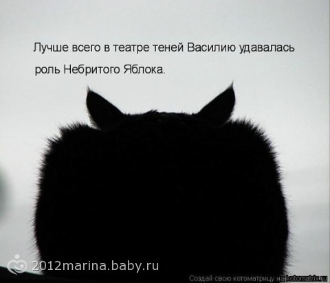 91597198.112030709.jpg