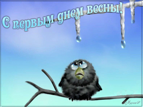 918737728.gif