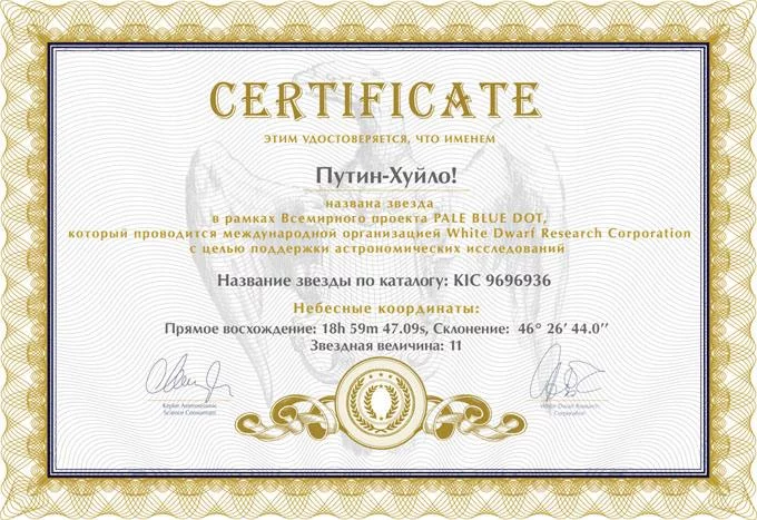 919274_original.webp