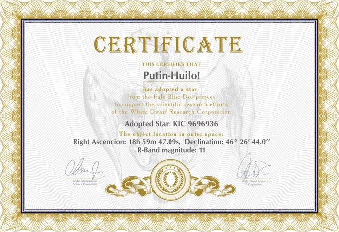 919524_original.webp