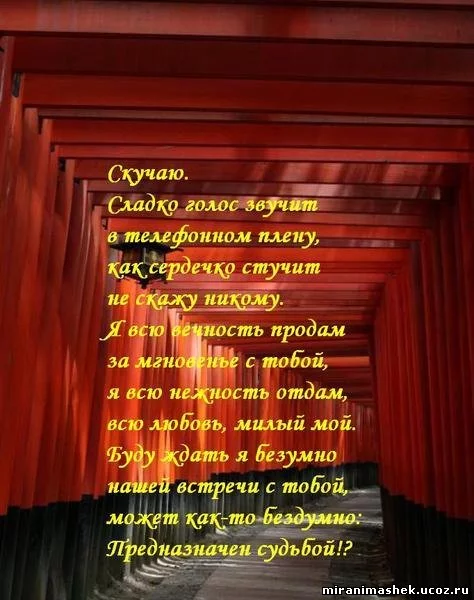 919551074.webp