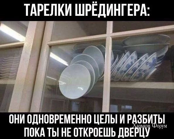 919a0b21aefbb21224c544.webp