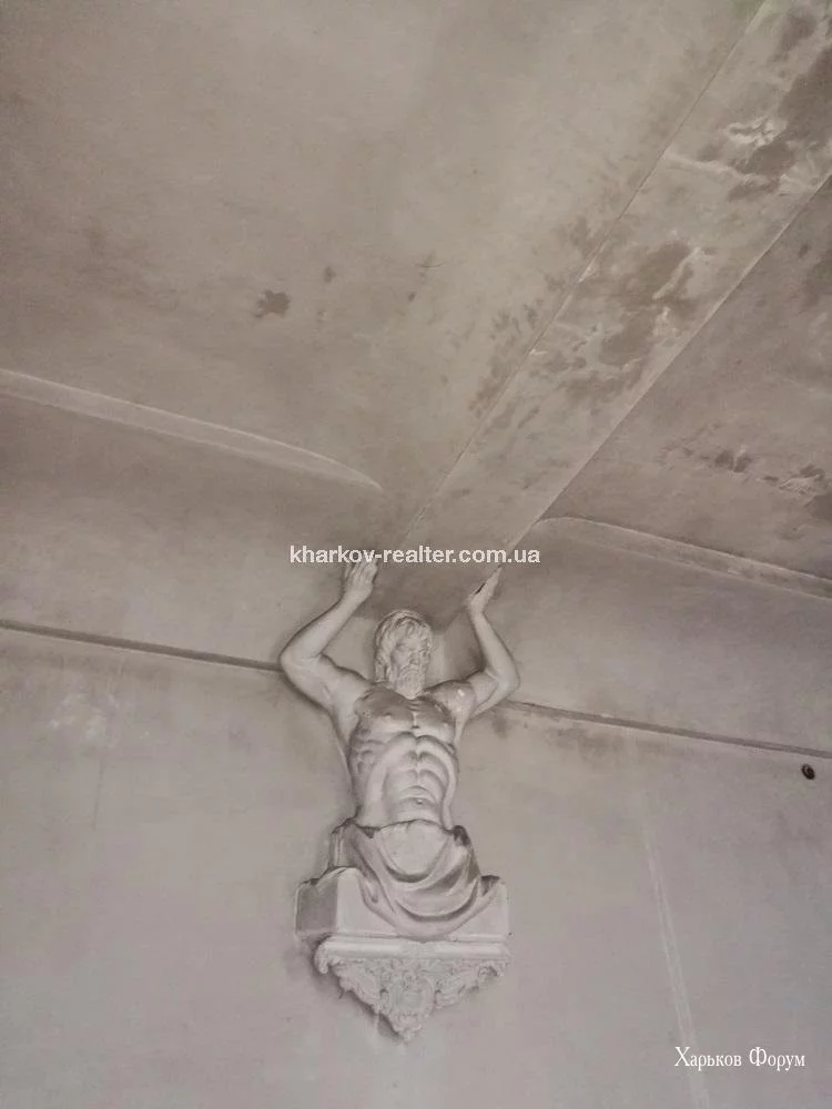 91a201e51b712e76a02bfb8.webp