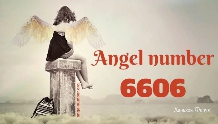 91a250883d1c001884e.webp