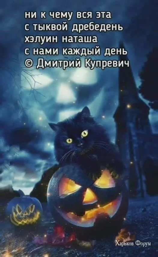91b1eafcc548575d02a94.webp