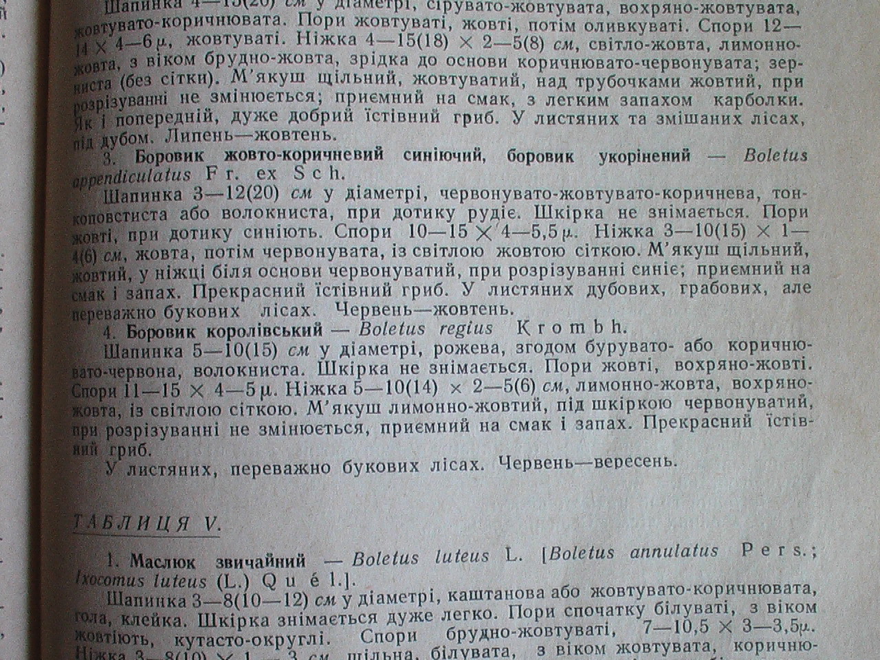 91c20c8df885f31cdae38d12ebee3d5c.jpg