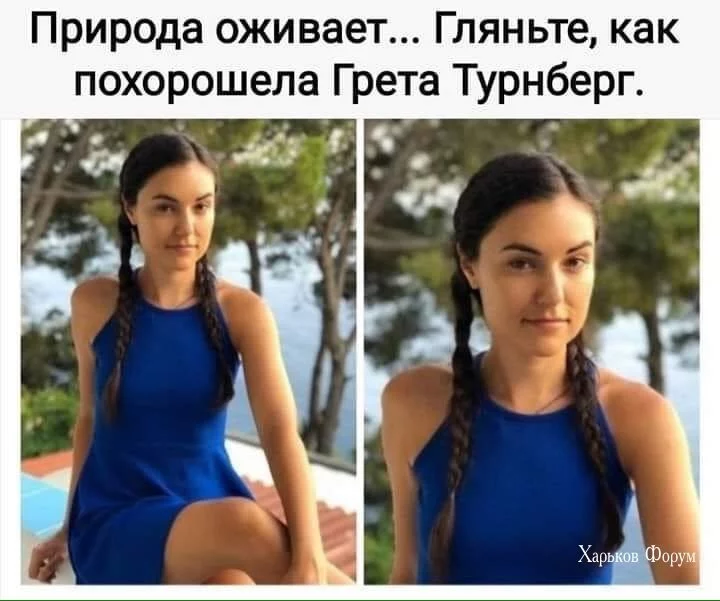 91c50c9d22a8d2d001.webp