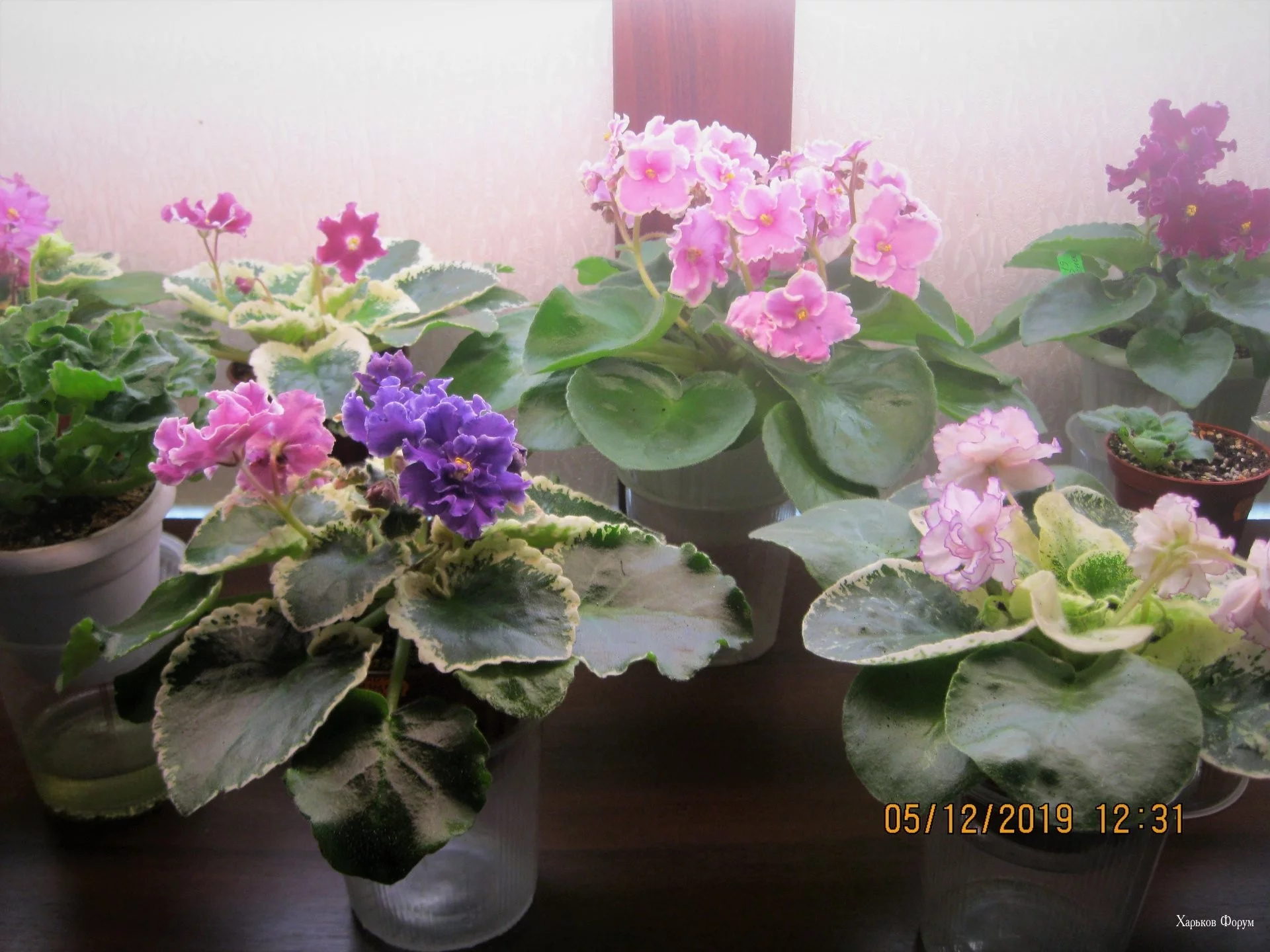 91c79a59a82d3d140c317fe.webp